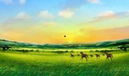 草原风景视频,碧波荡漾的绿色画卷