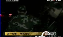 第一现场视频,惊心动魄的现场瞬间